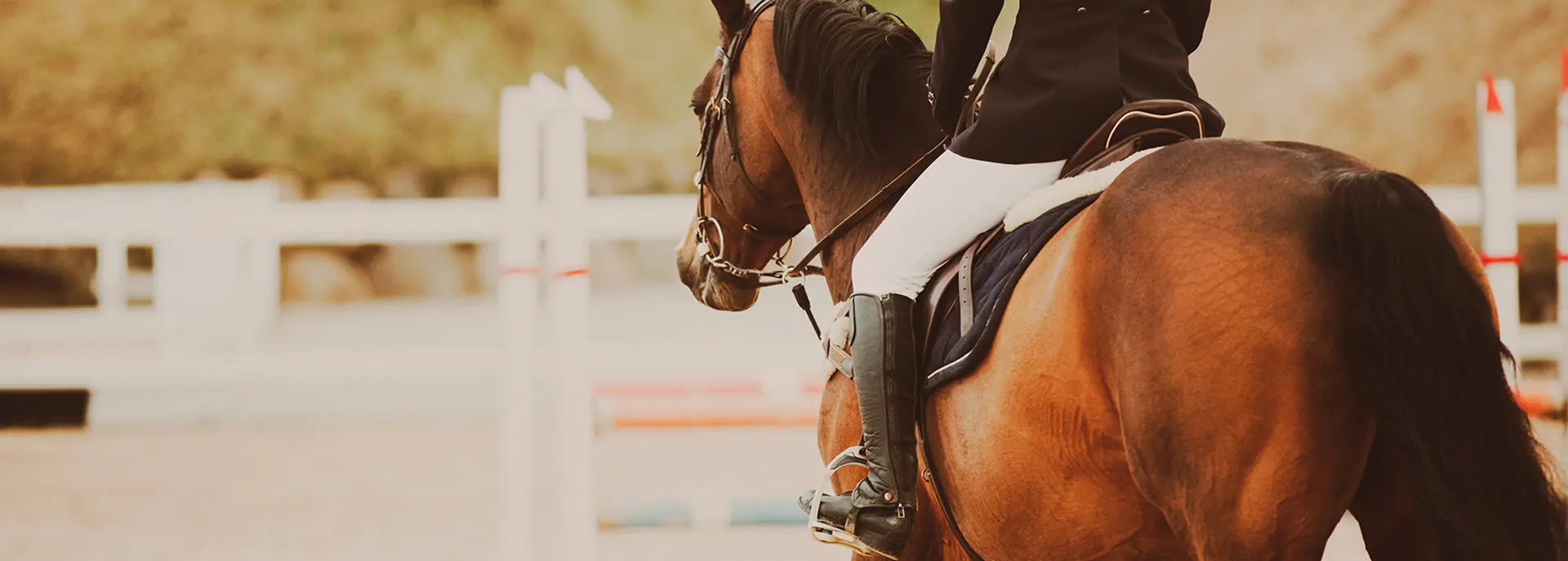 Reithosen für Herren