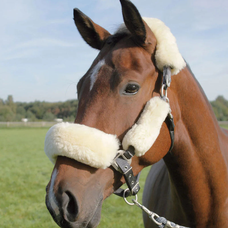 Lamfell Nasen und Genickpolster