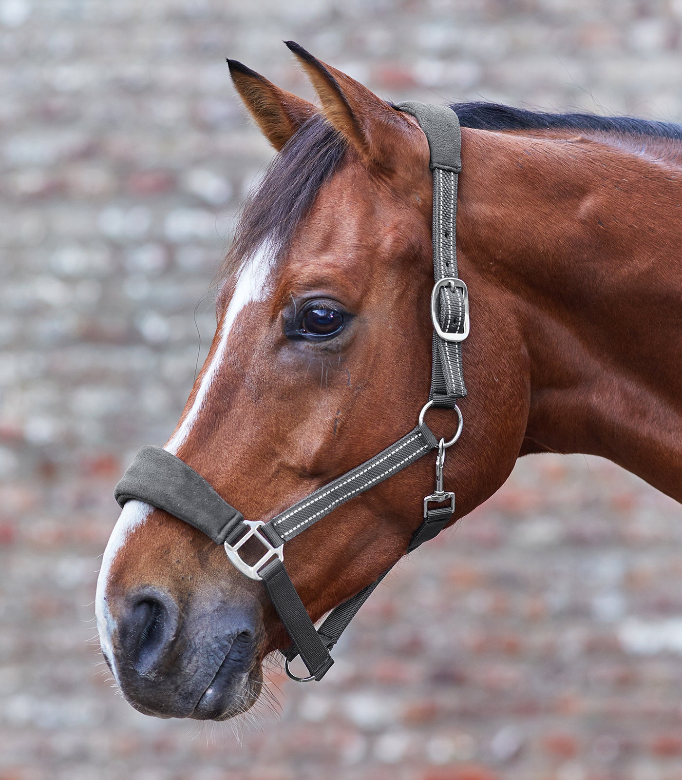 Halfter Alcantara Waldhausen