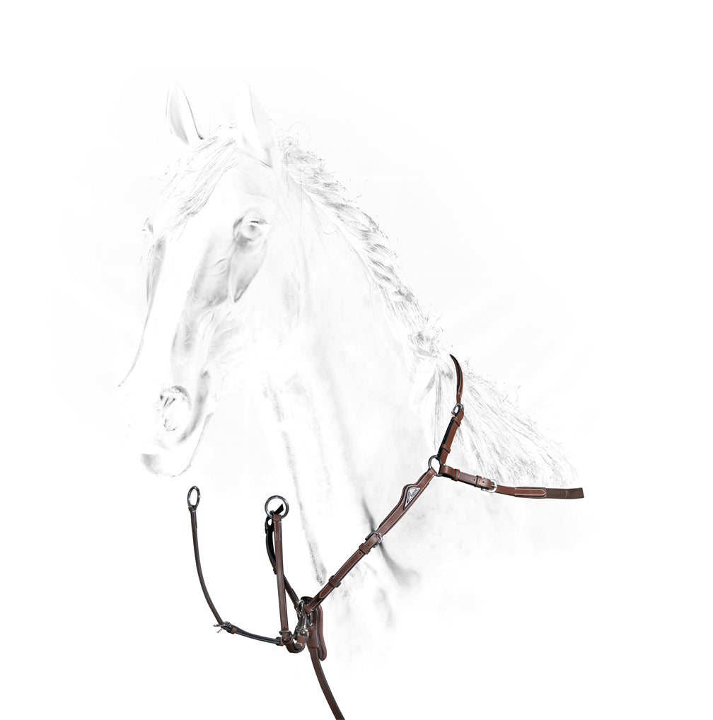 Equiline Vorgeschirr Equiline