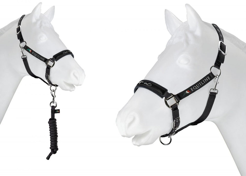 Equiline Halfter Equiline
