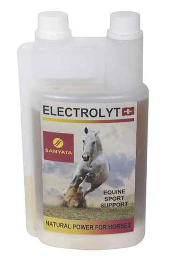 Electrolyt Sanyata