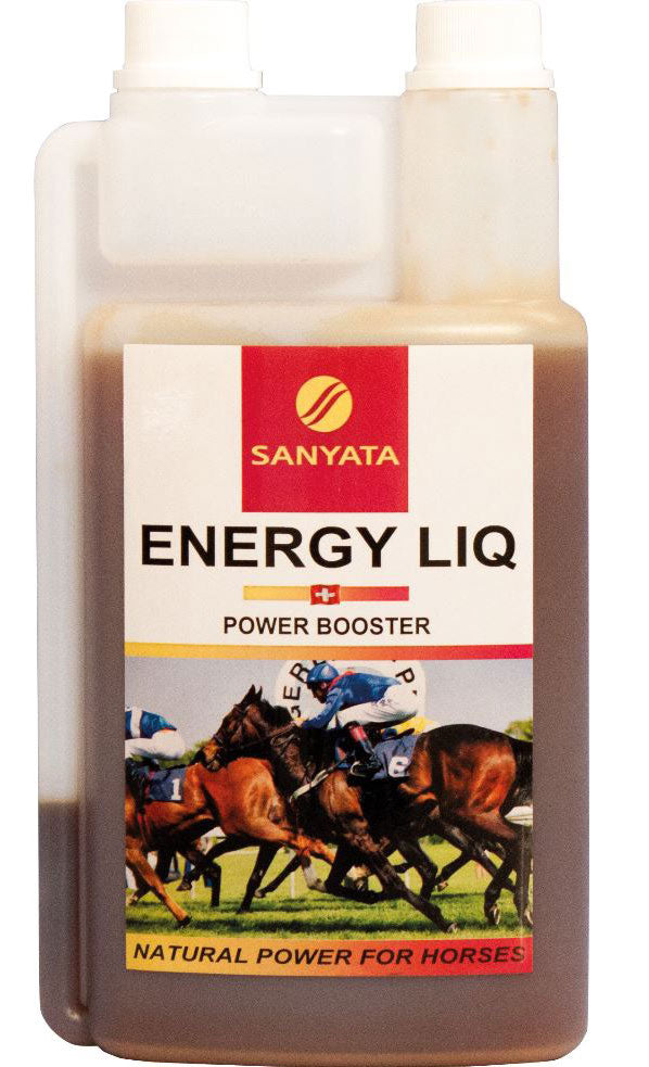 Energy Liq Sanyata