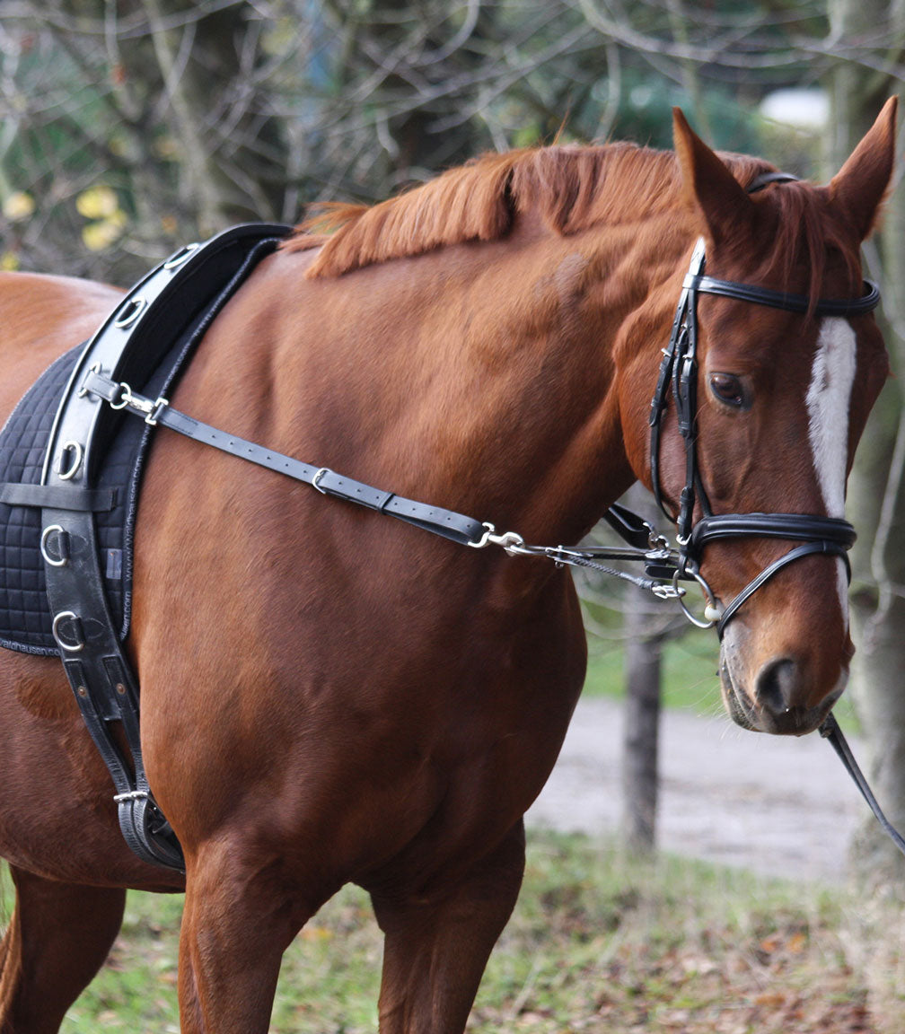Reit- und Longiersystem Waldhausen