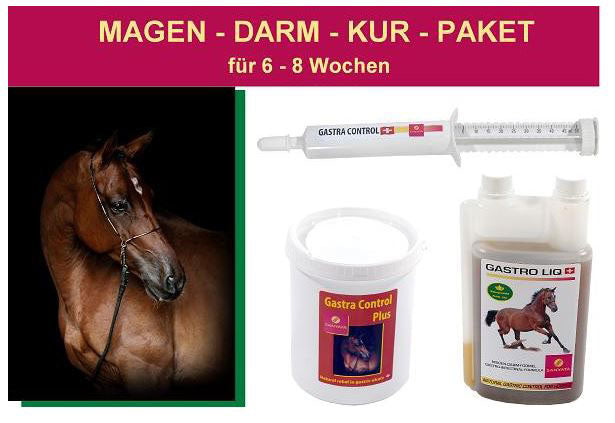 Magen - Darm - Kur - Paket Sanyata