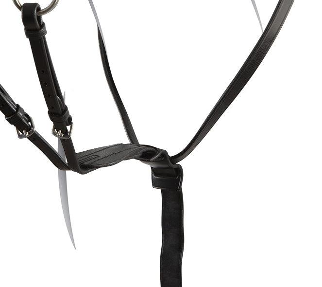 Martingal "Melissa" Equestro