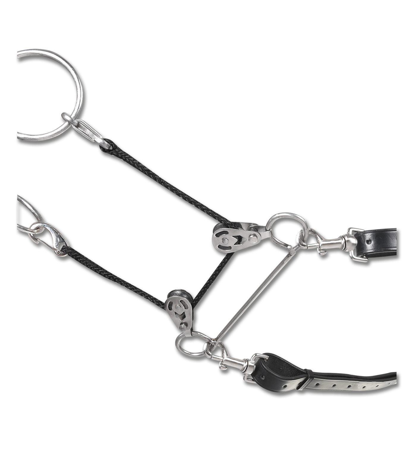 Reit- und Longiersystem Waldhausen