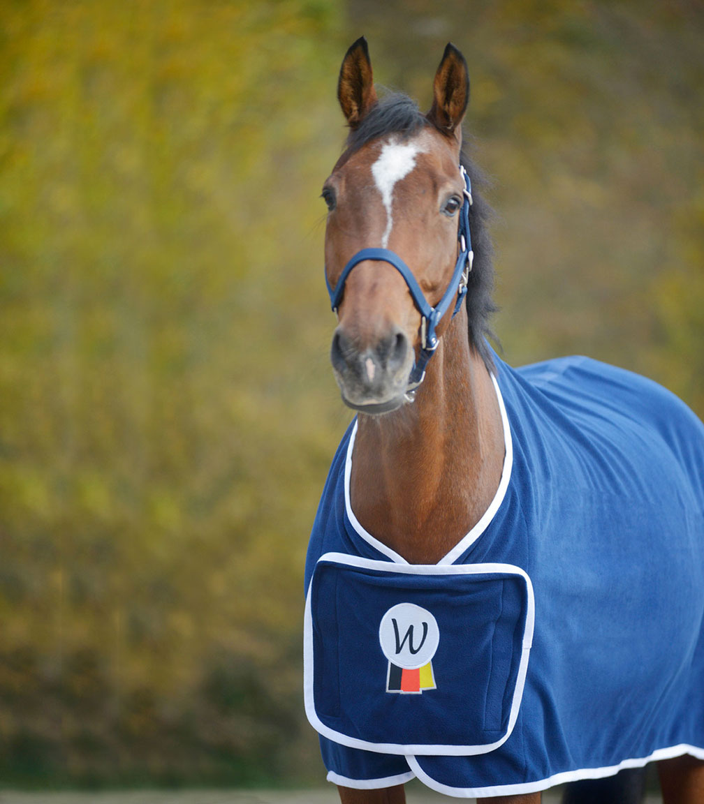 Abschwitz- & Sponsorendecke Waldhausen