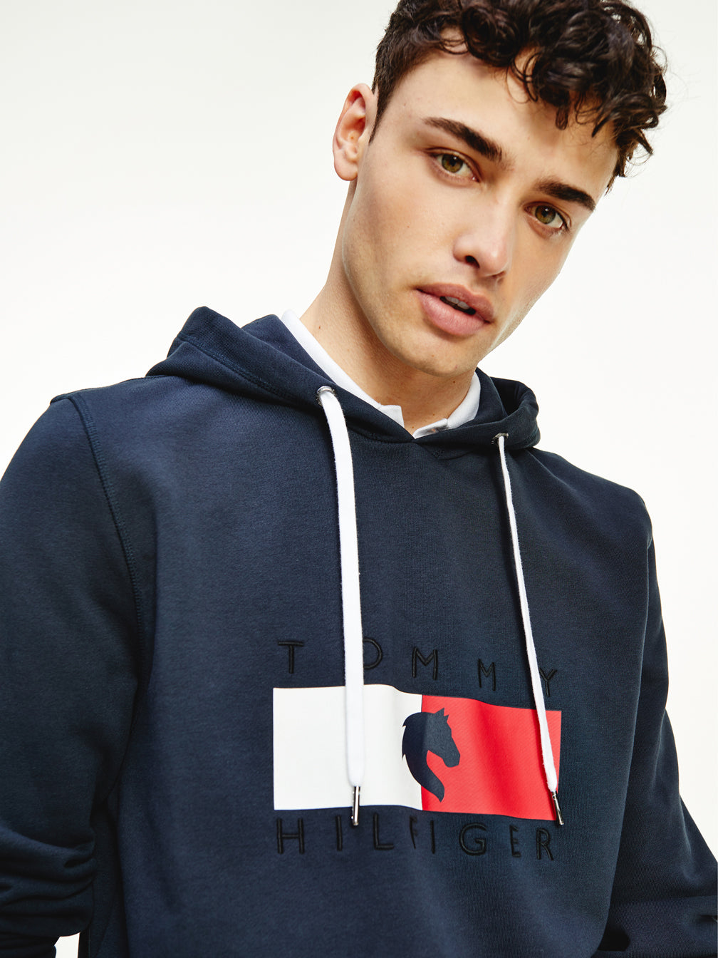 Herren Hoodie TH Equestrian Statement, Desert Sky Tommy Hilfiger