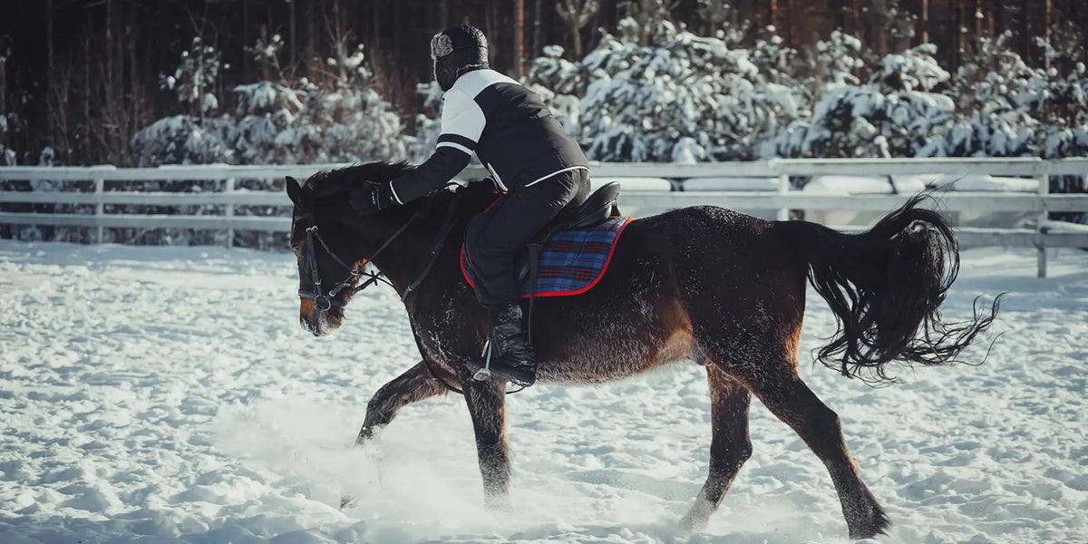Reiter im Galopp mit Pferd auf verschneitem Reitplatz im Winter