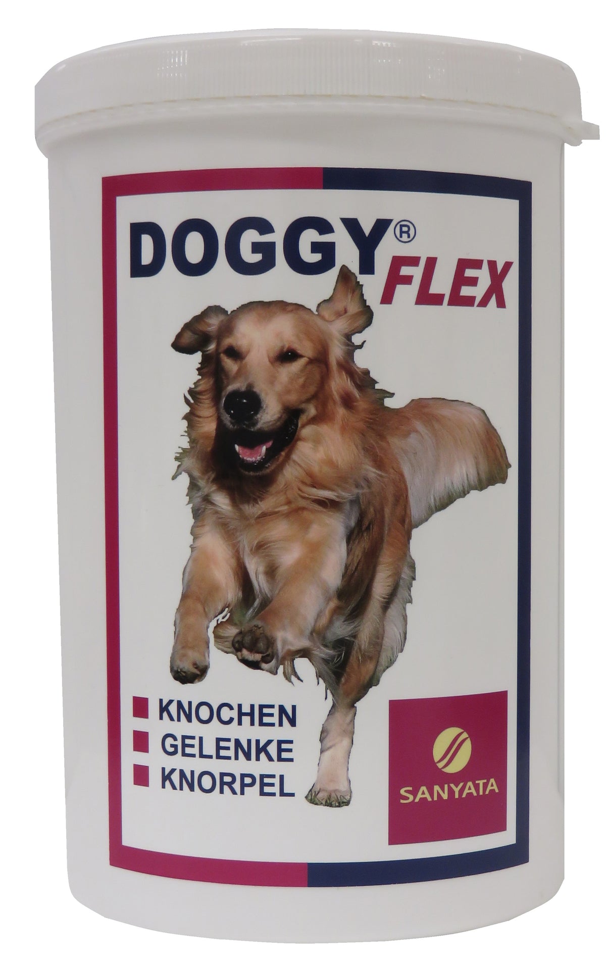 Flexion du chien