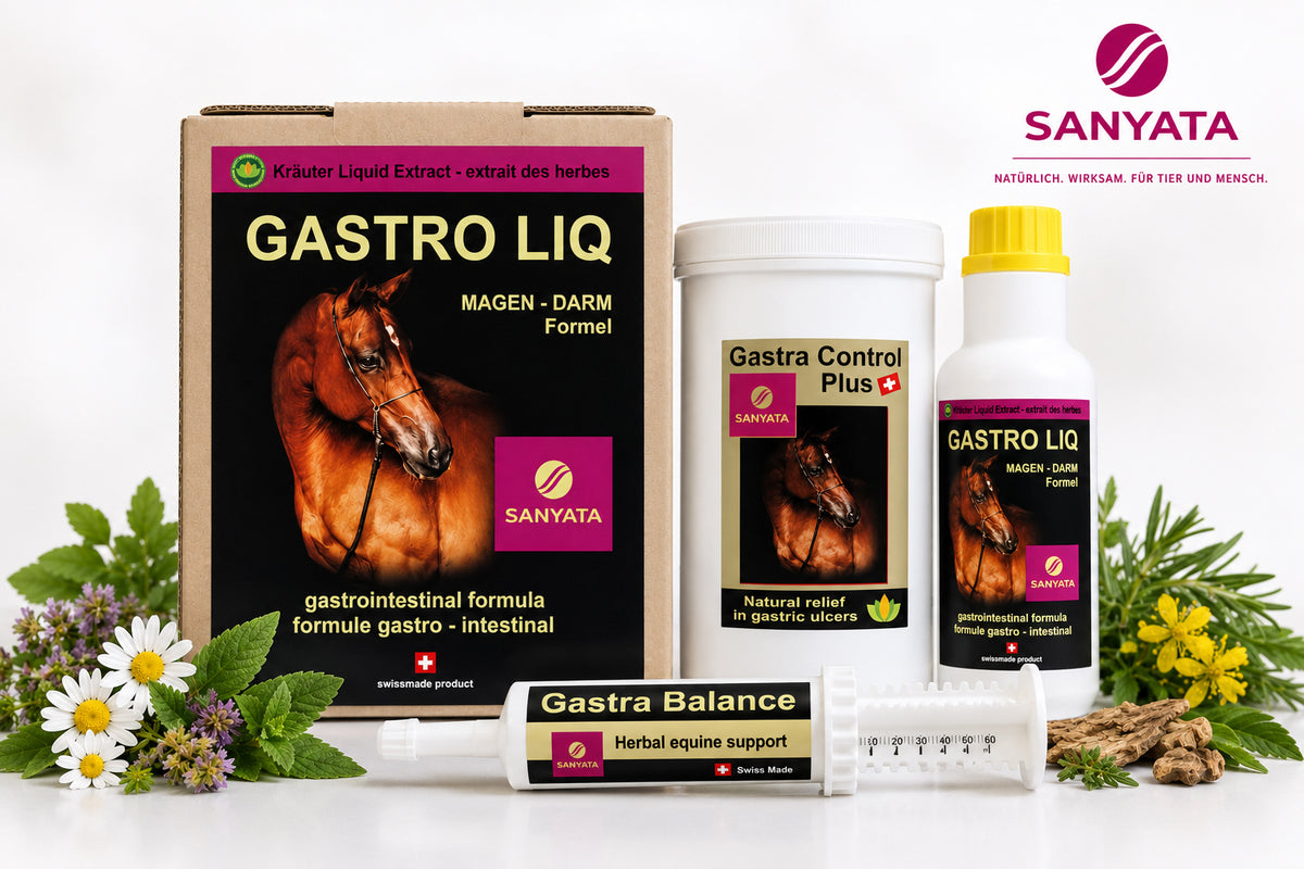 Forfait de traitement gastro-intestinal