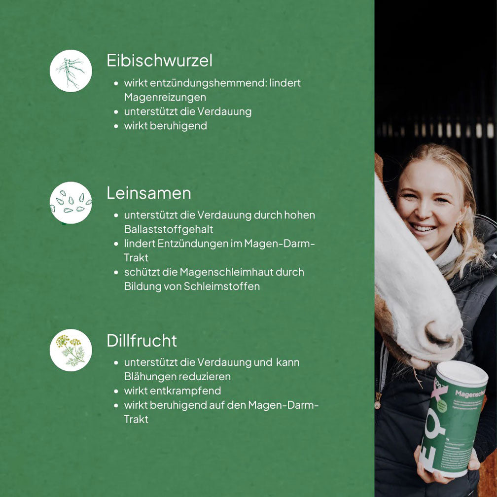 EQX Magenschutz EQX