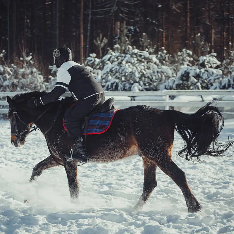 Reiter im Galopp mit Pferd auf verschneitem Reitplatz im Winter