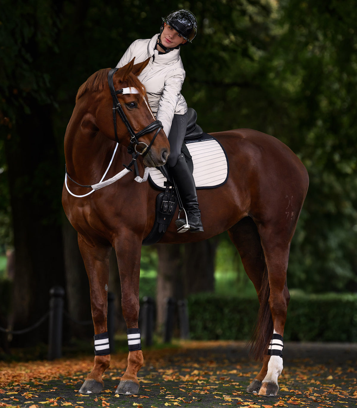Reflektierende Reitjacke