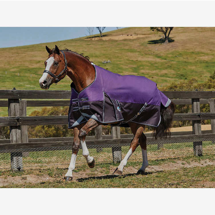 Weatherbeeta Comfitec Plus Dynamic Standard Regendecke - 0g - purple Weatherbeeta