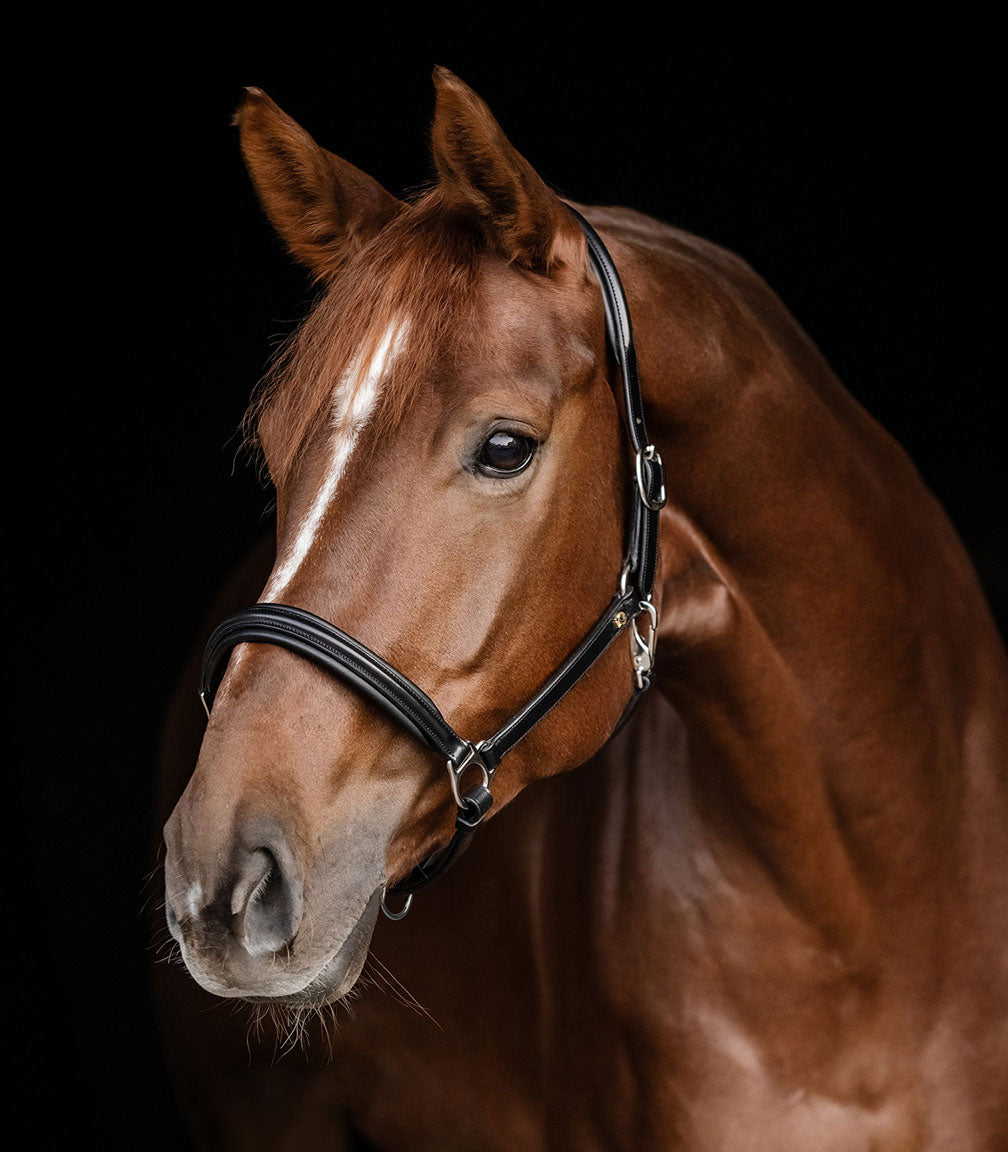 S-Line Lederhalfter "Classy" Waldhausen