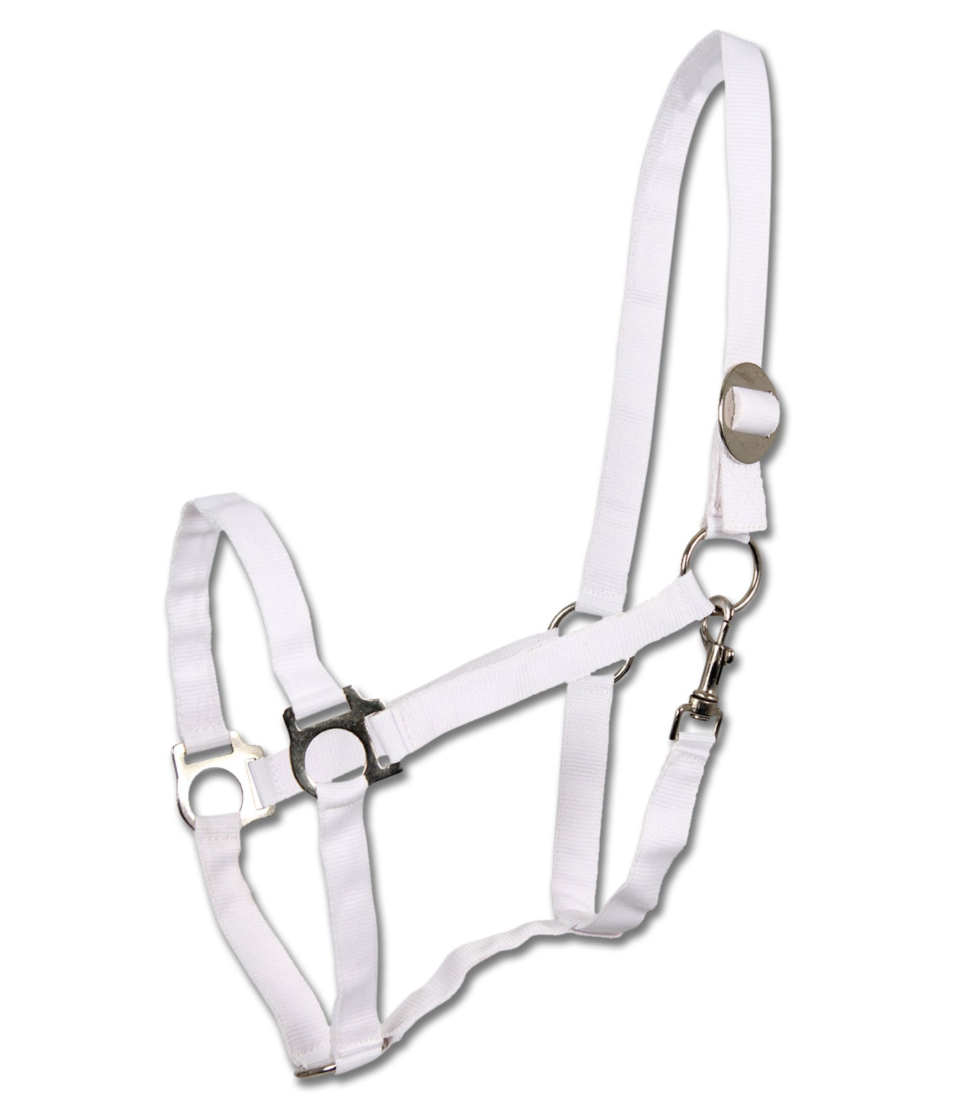 Halfter Perlon Waldhausen