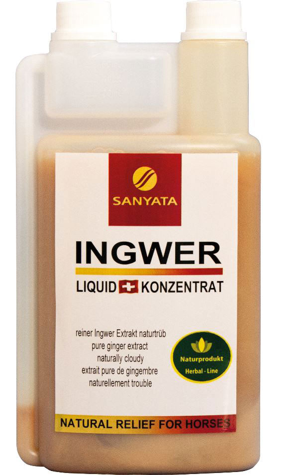 Ingwer Liquid Sanyata