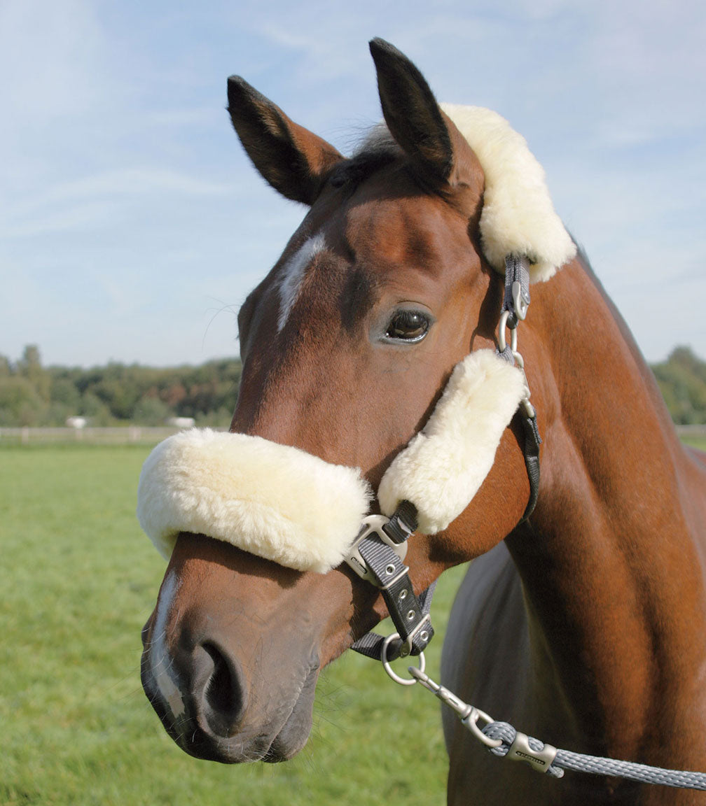 Lammfell Nasen- oder Genickpolster Waldhausen