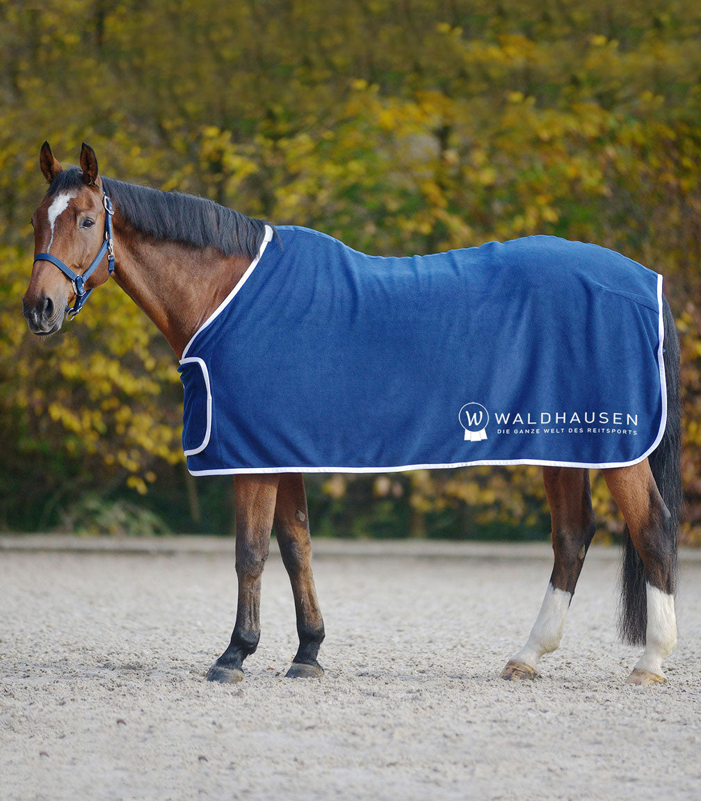 Abschwitz- & Sponsorendecke Waldhausen