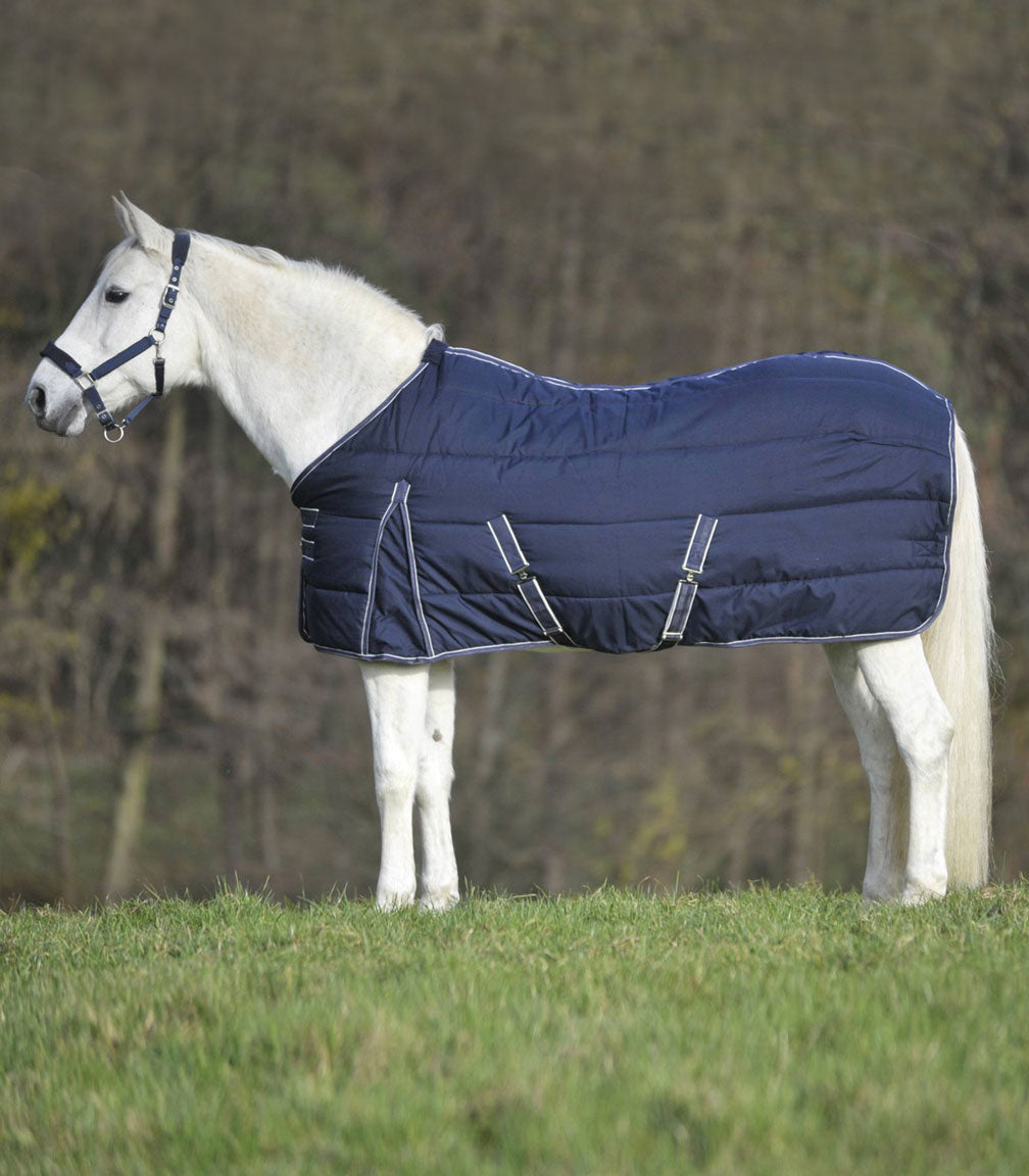 Stalldecke Economic 200g Waldhausen